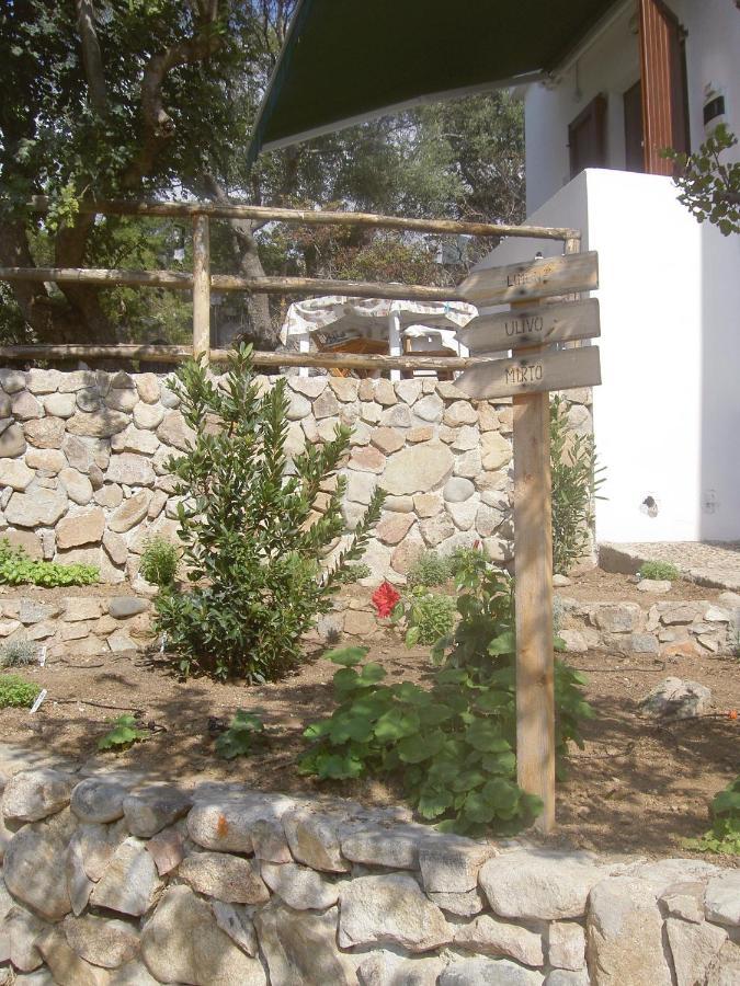 Ulivo Apartment Quartu Sant'Elena Exterior photo